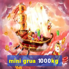 mini grua 1000kg